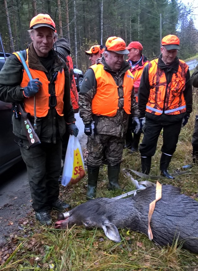 wp_20161015_09_41_15_pro-2