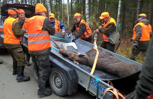 wp_20161015_09_43_09_pro