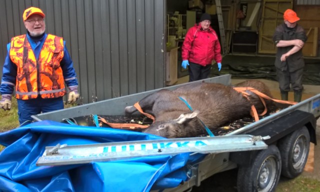 wp_20161016_10_35_22_pro-2