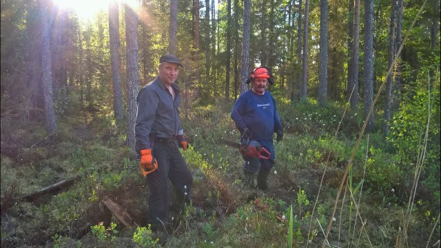 WP_20160603_19_08_38_Pro