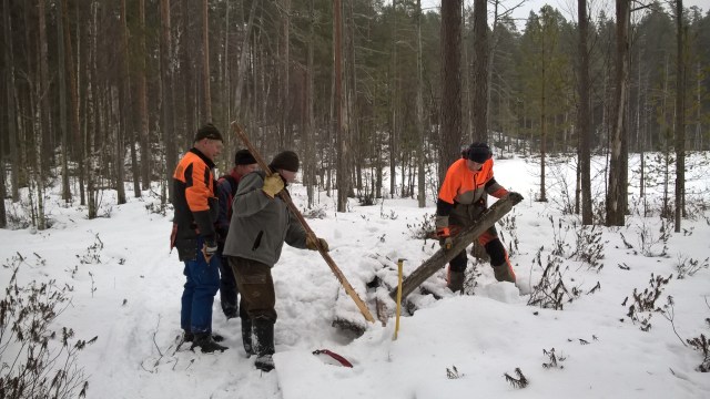 wp_20170204_13_49_22_pro