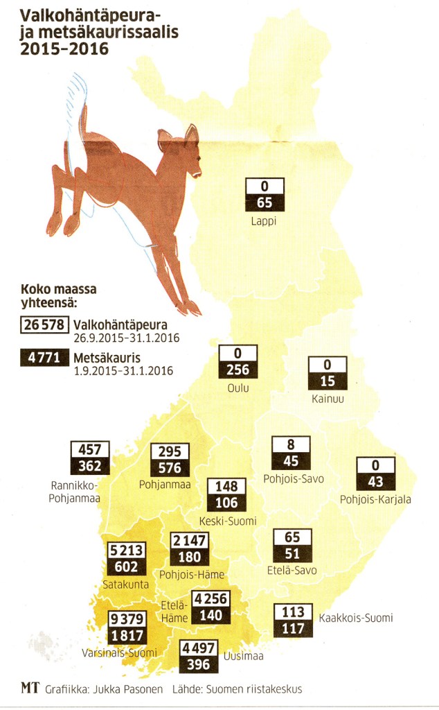 valkohäntäpeura-kauris