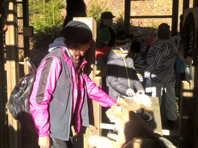 wp_20161007_11_30_26_pro